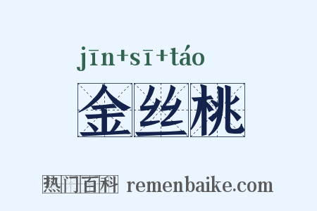 金丝桃是什么意思的图片